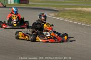 DSC_0244 (2)